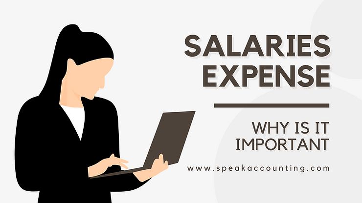 What is Salaries Expense and Why is it Important1