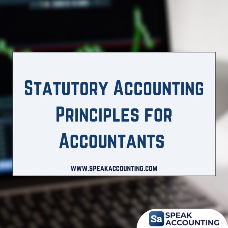 Statutory Accounting Principles for Accountants and Financial Analysts