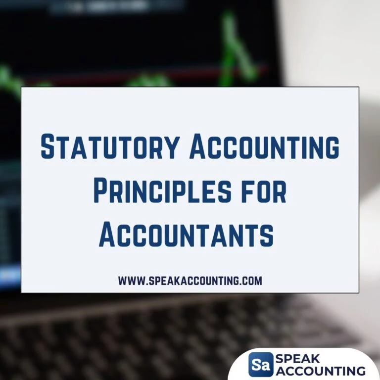 Statutory Accounting Principles for Accountants and Financial Analysts